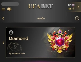 สมาชิกระดับ Diamond