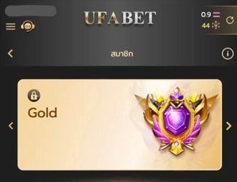 สมาชิกระดับ Gold