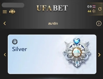 สมาชิกระดับ Silver