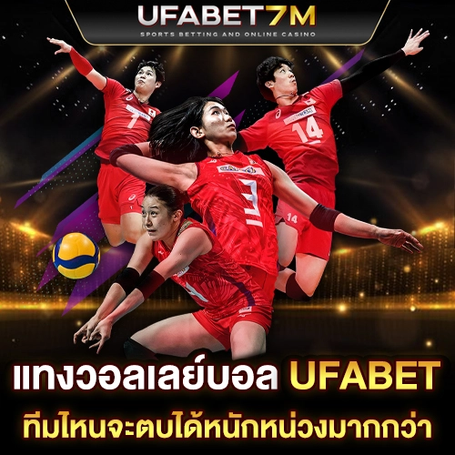 แทงวอลเลย์บอล